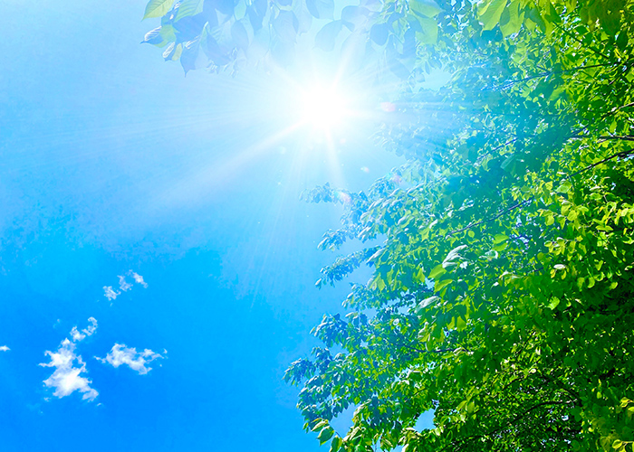 指先から、8月をもっと思い出深く…