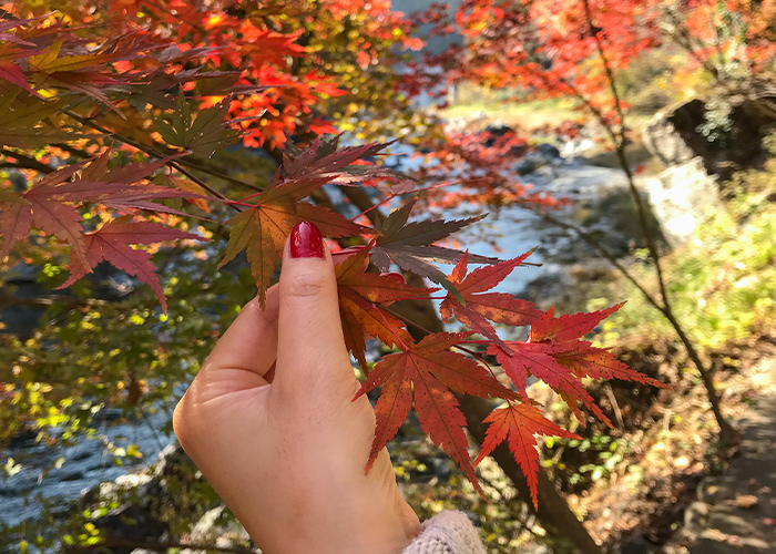 お客様の毎日に寄り添う、10月のシンプルネイル提案