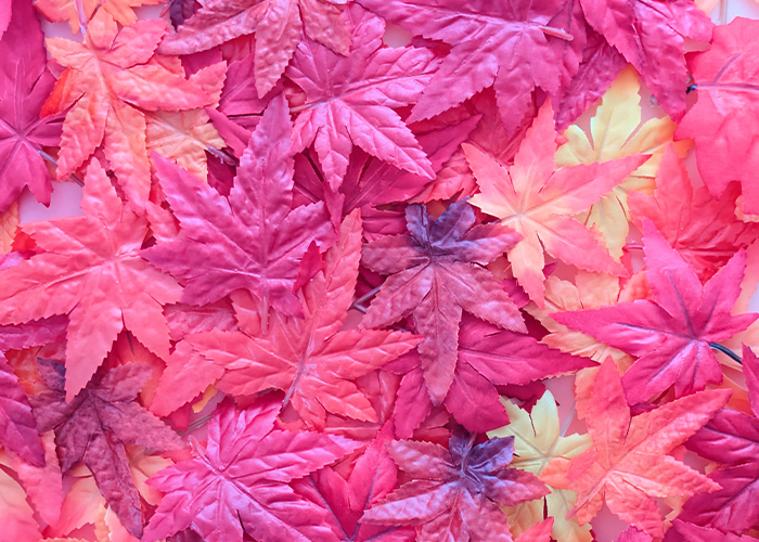 時短で映える♪紅葉シール&スタンプのサロン活用術