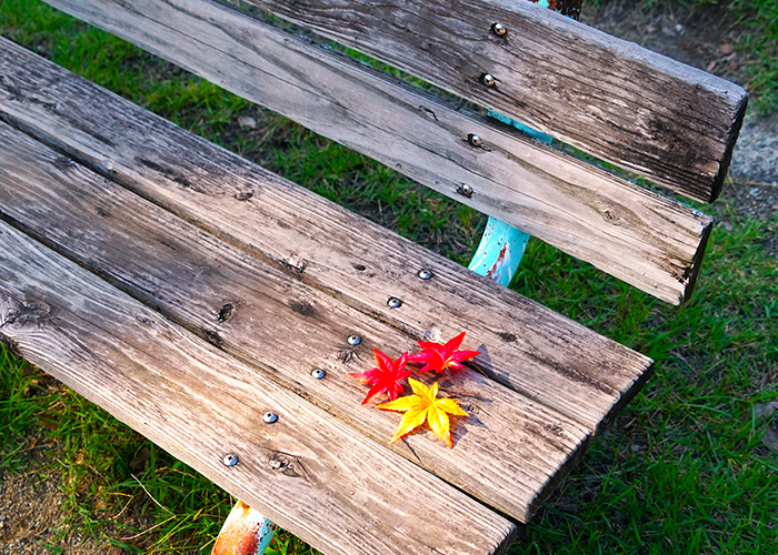 さりげなく秋を演出☆ミニマルアートの取り入れ方