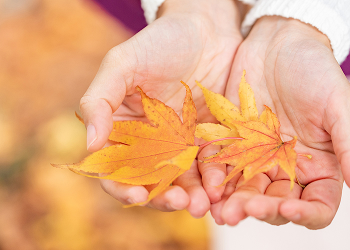 シンプルに映える♡紅葉ネイル提案の3つのポイント