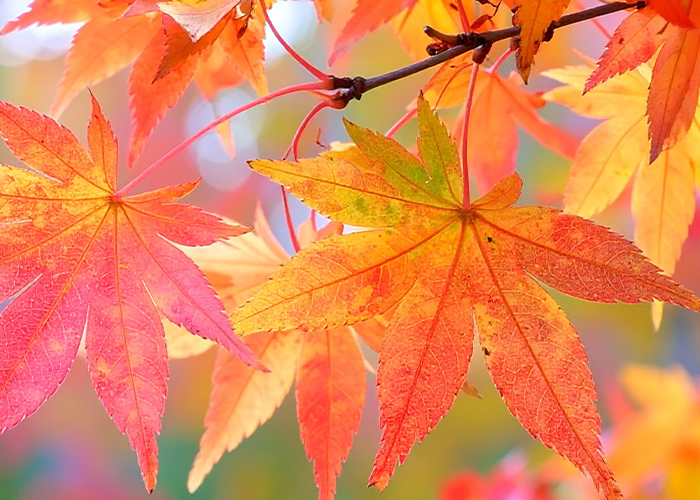 印象を左右する♡“配置バランス”の選び方