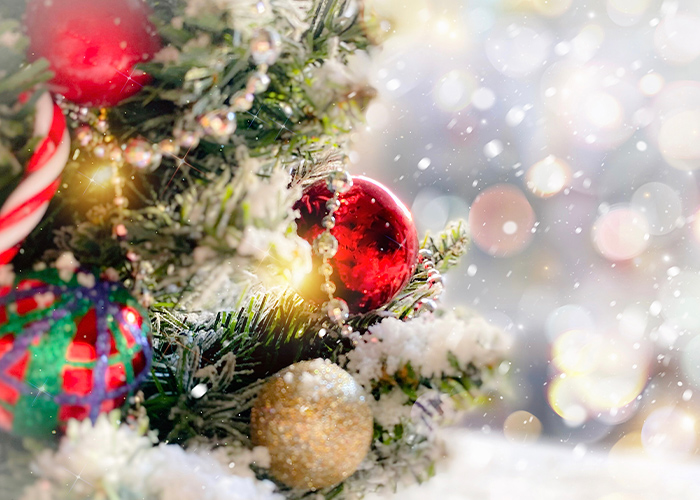 サロンワークに活かせる♡クリスマスネイルおすすめデザイン7選