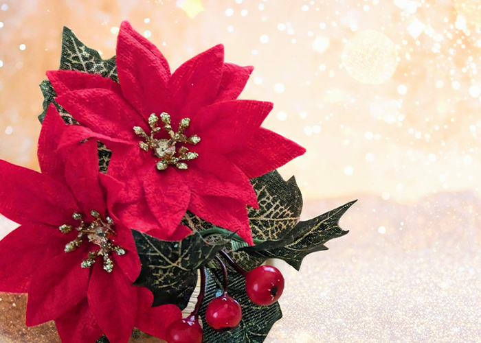 シンプルなクリスマスネイルが届ける、冬の上質な癒し時間