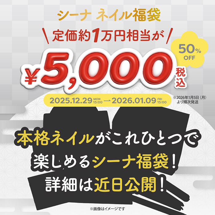 シーナネイル福袋