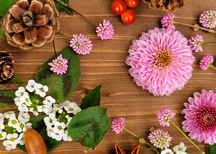 仕事始めも安心♪清潔感を出す上品ワンポイント