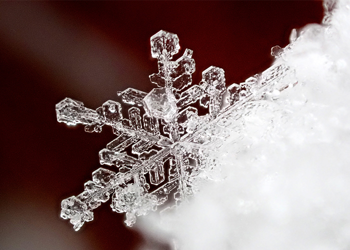 雪モチーフを主張しすぎない配置バランスの工夫