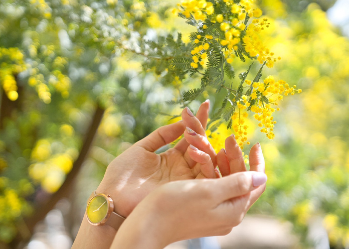 2月ネイルで伝える☆お客様の暮らしに寄り添う美しさ