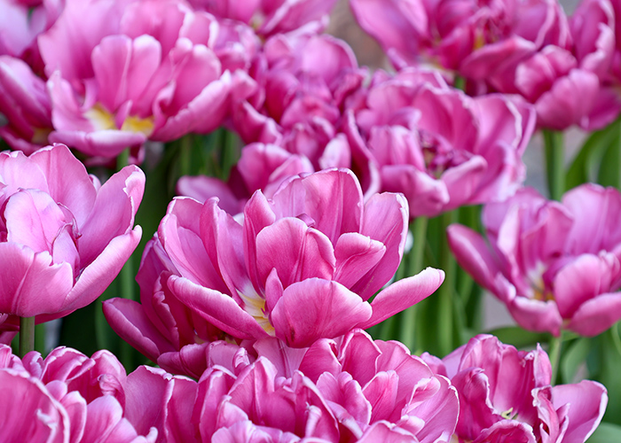 大人可愛い?シンプル?最初に決めたい方向性