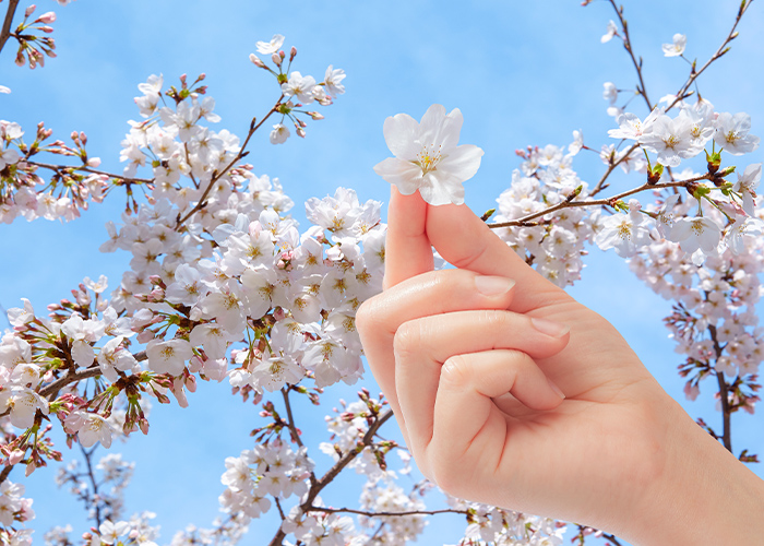 日常にもなじむ♪シンプル派向けホワイトデーネイル5選