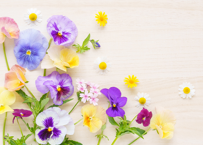 トレンド感を取り入れる♡春ネイルデザイン15選