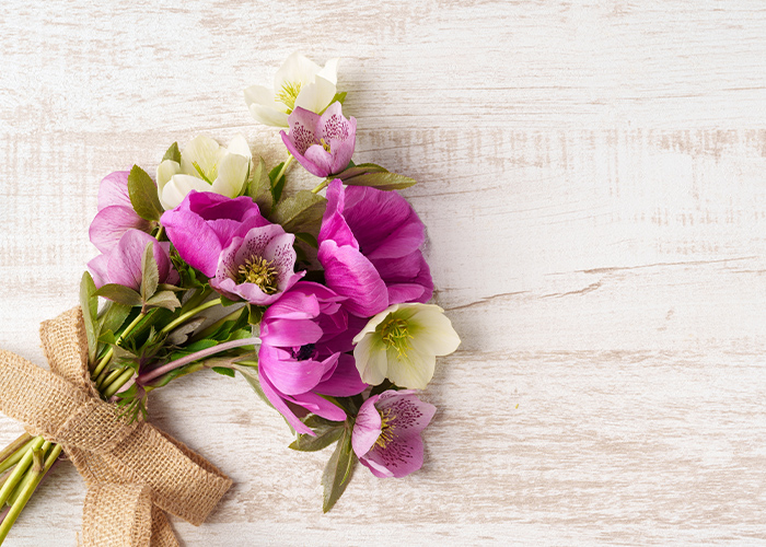 日常になじむ◎シンプルな春ネイル7選♪