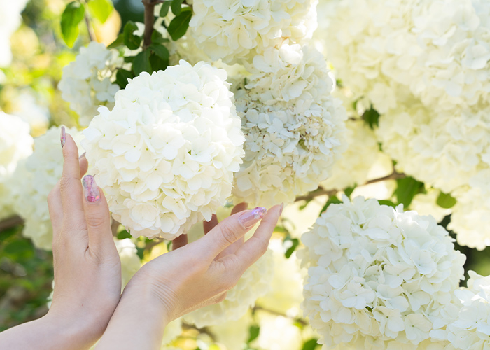 春ネイルでお客様の季節の始まりをそっと彩る♡