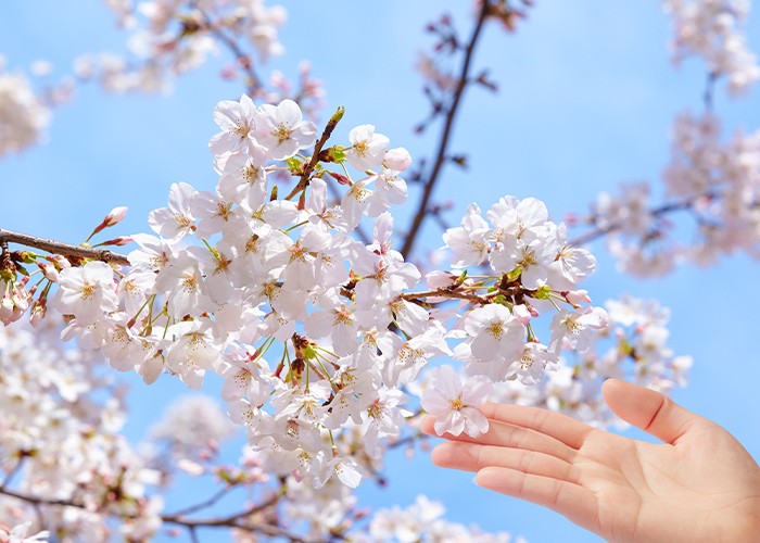 幅広いお客様に対応できる♪取り入れやすいシンプルな4月ネイル7選