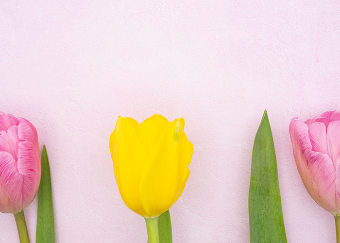 迷ったときに役立つ◎お客様に合う4月ネイルの導き方