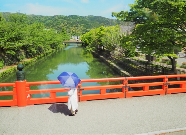 新緑・水面・フラワー♪季節を感じるモチーフの取り入れ方