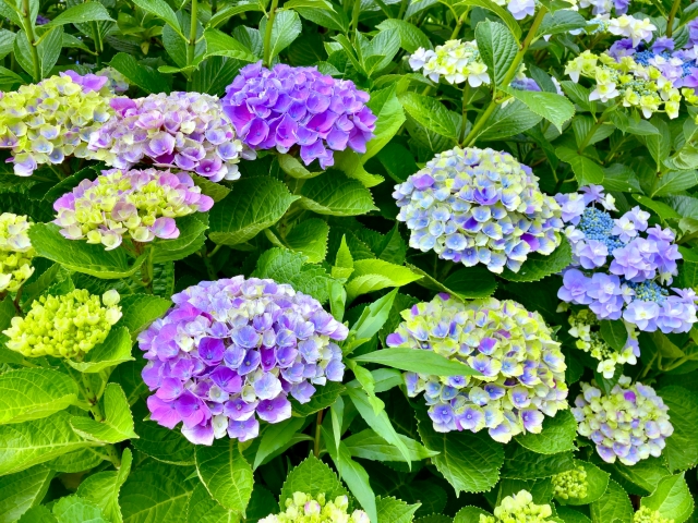初夏ネイルはどこで差がつく?軽さと涼しさを上品に見せる季節感♪