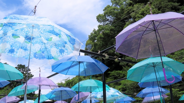 上旬は涼しげに♪梅雨明け前後に合う軽やかさ
