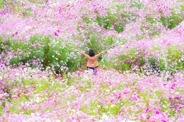 お客様の日常に秋を添える♡9月ネイルが映える3つのシーン