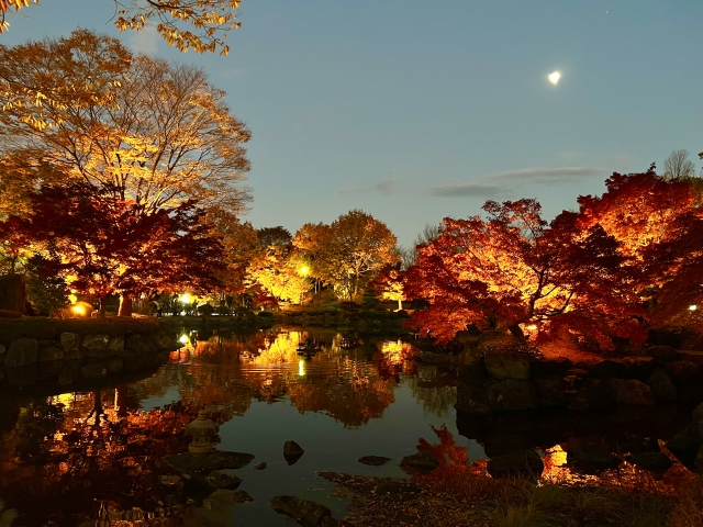 ハロウィンも秋色も♡お客様の好みに合わせる10月ネイル15選