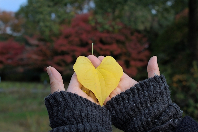 旬カラーもハロウィンも♡10月らしさをサロンワークに生かそう♡
