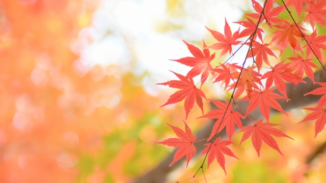 季節感をしっかり見せる♡秋冬ネイルデザイン15選